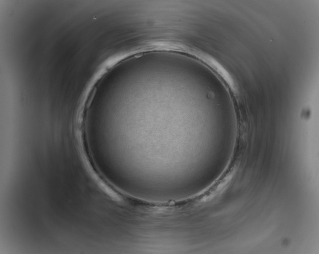 X0000103411381200809121255