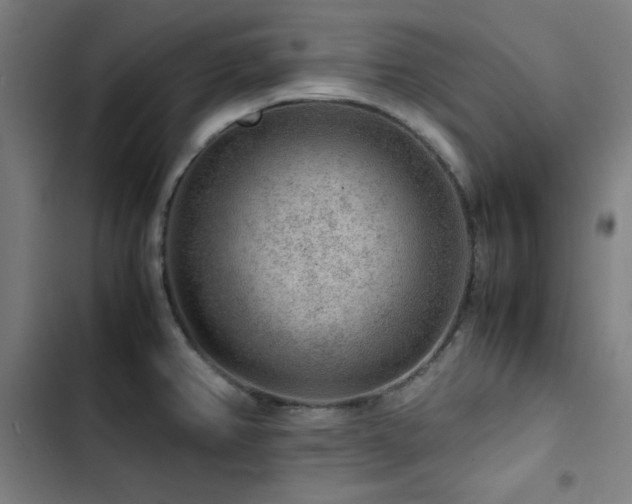 X0000103411382200809121255