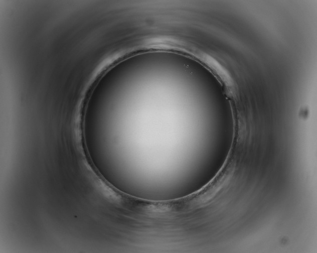 X0000103411384200809121255
