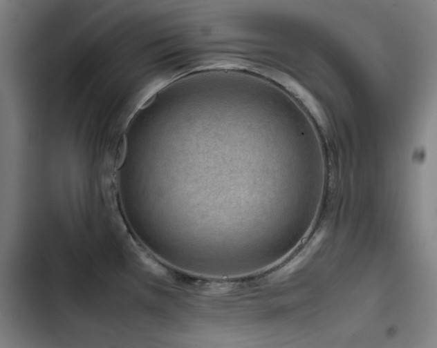 X0000103411385200809121255