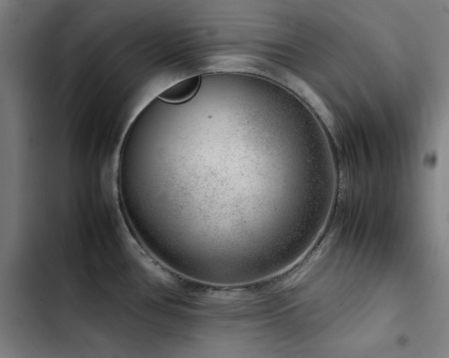 X0000103411386200809121255