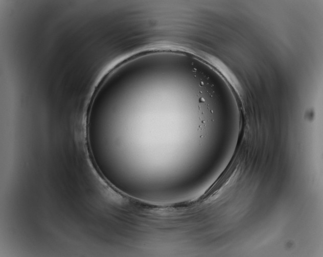 X0000103411388200809121255