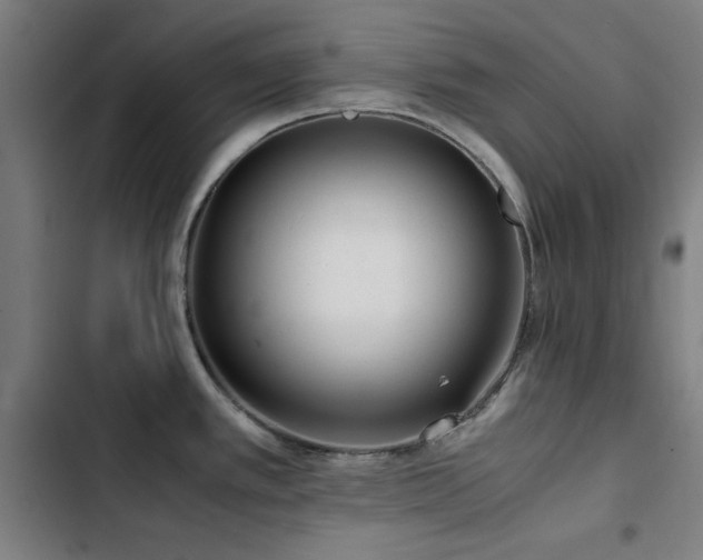 X0000103411389200809121255