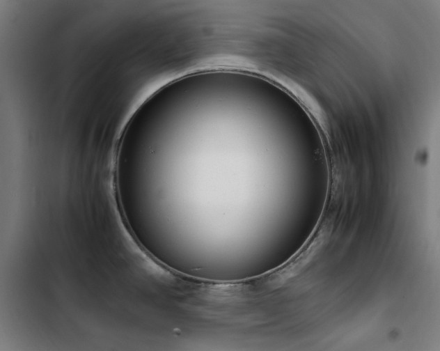 X0000103411390200809121255