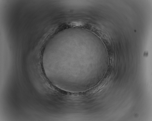 X0000103411393200809121255