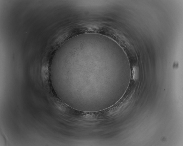 X0000103411395200809121255
