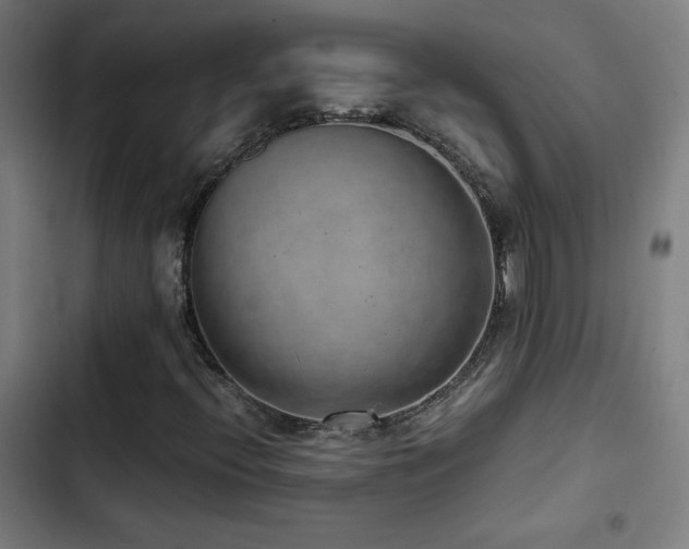 X0000103411396200809121255