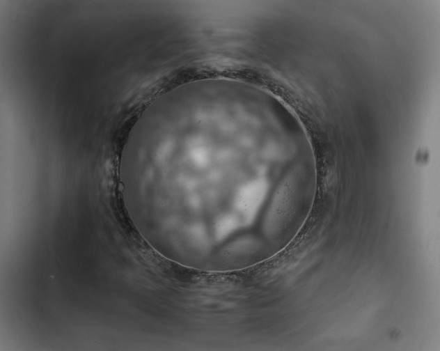 X0000103411397200809121255