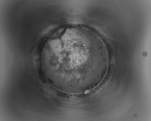 X0000103411398200809121255