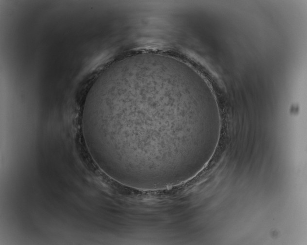 X0000103411399200809121255