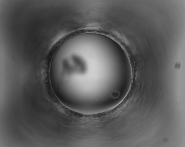 X0000103411400200809121255