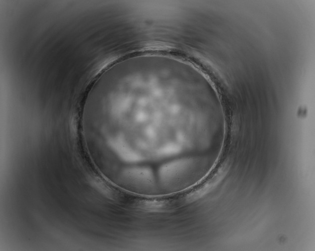 X0000103411401200809121255