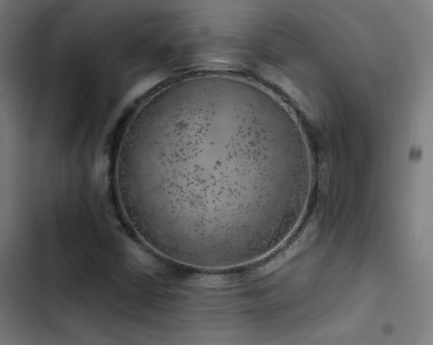 X0000103411402200809121255