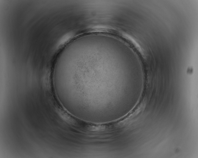 X0000103411403200809121255