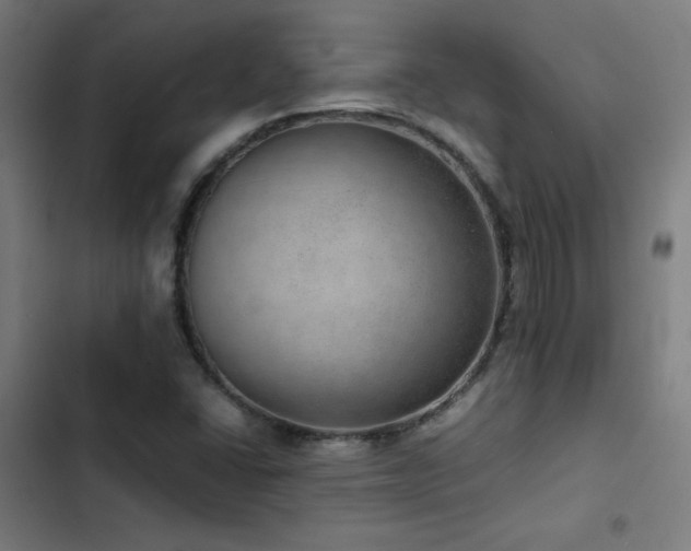 X0000103411406200809121255