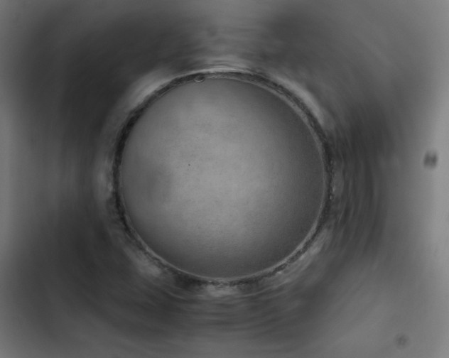 X0000103411407200809121255