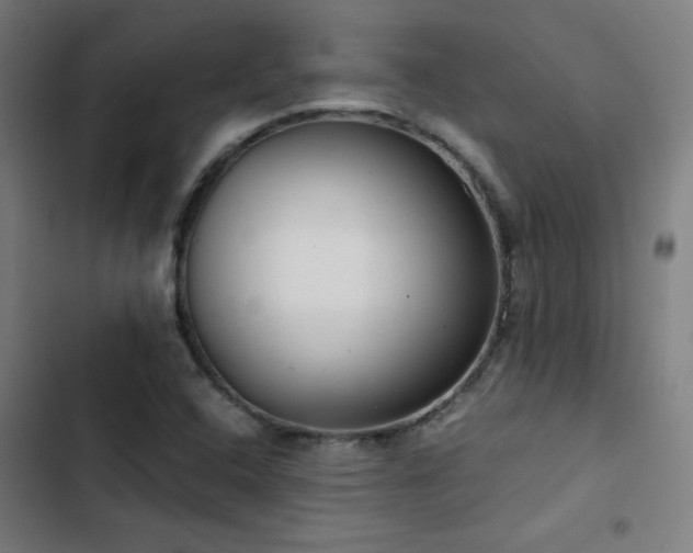 X0000103411408200809121255