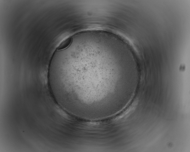 X0000103411409200809121255
