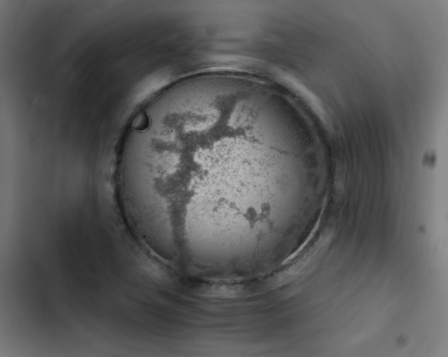 X0000103411411200809121255
