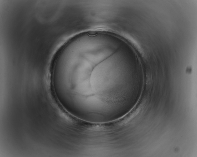 X0000103411414200809121255