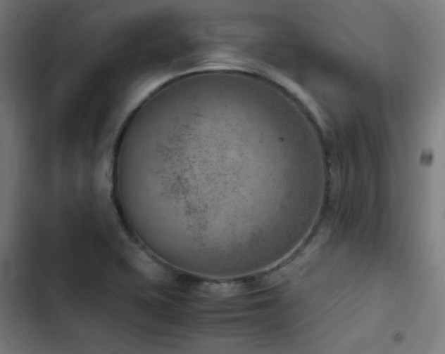 X0000103411415200809121255