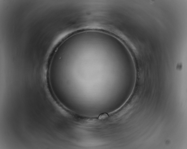 X0000103411416200809121255