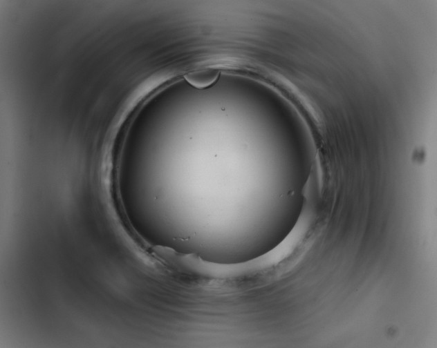 X0000103411418200809121255