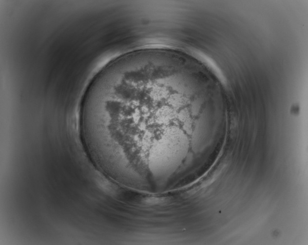 X0000103411419200809121255