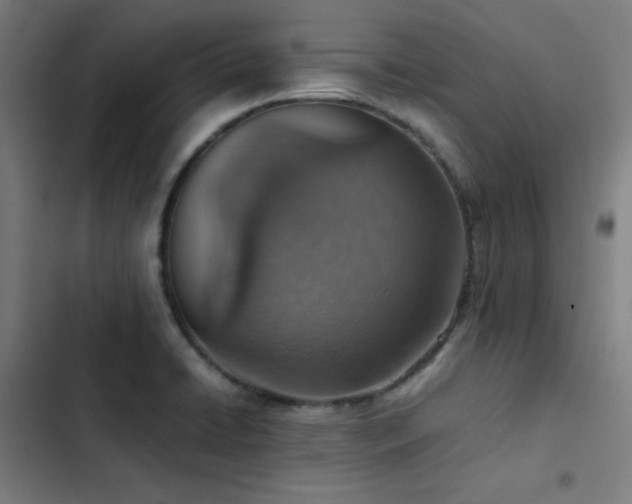 X0000103411422200809121255