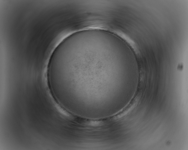 X0000103411423200809121255
