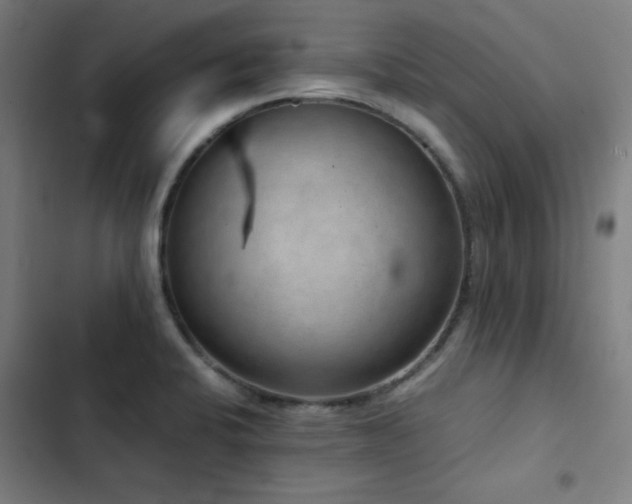X0000103411424200809121255