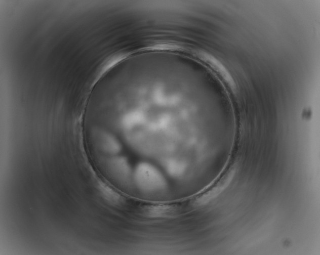 X0000103411425200809121255