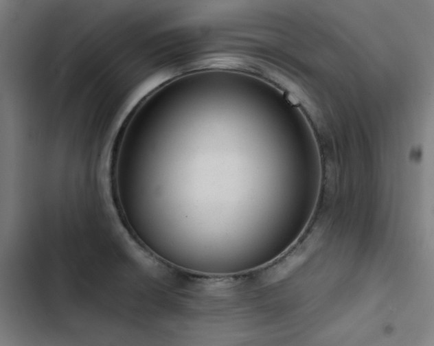 X0000103411426200809121255