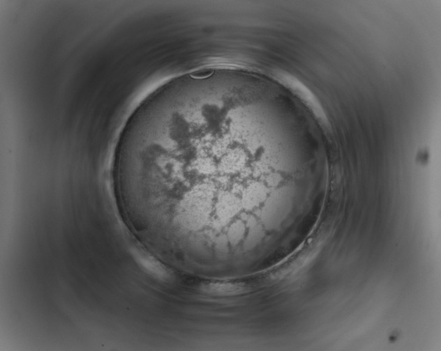 X0000103411427200809121255