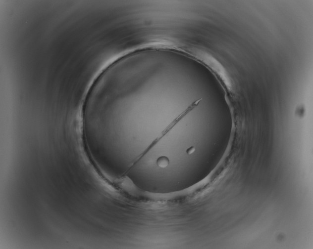 X0000103411428200809121255