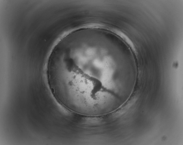 X0000103411429200809121255