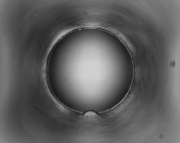 X0000103411432200809121255