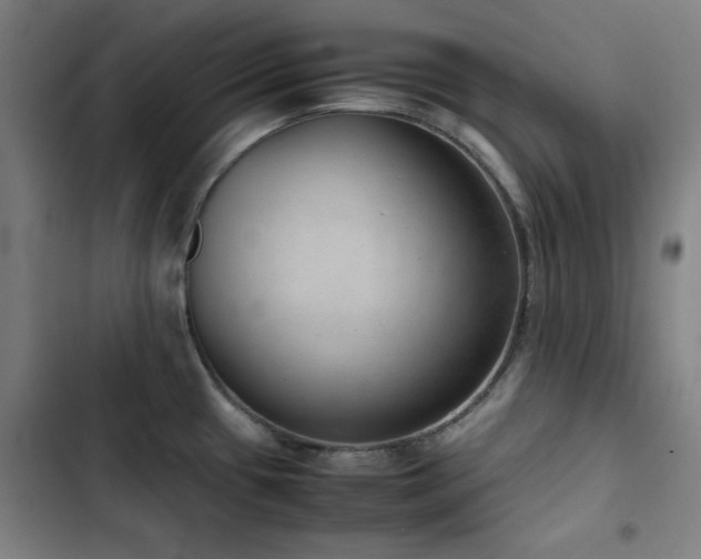X0000103411433200809121255