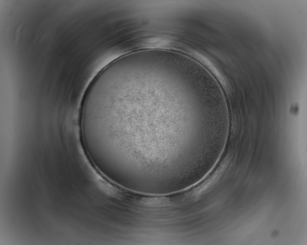 X0000103411434200809121255