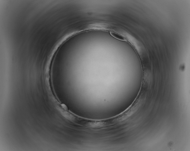 X0000103411435200809121255