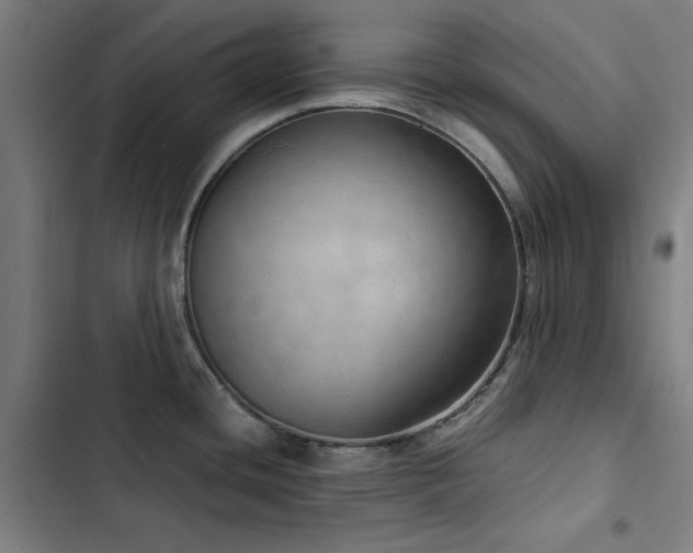 X0000103411436200809121255