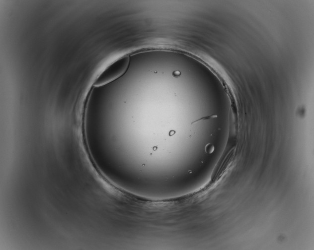 X0000103411437200809121255