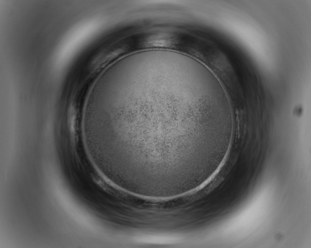 X0000103411438200809121255