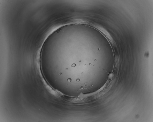 X0000103411439200809121255