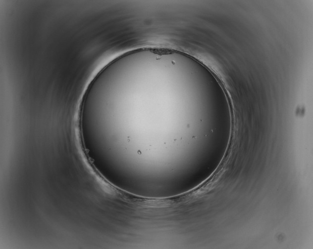 X0000103411440200809121255