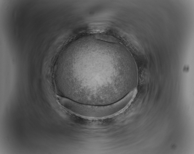X0000103411441200809121255