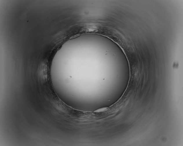 X0000103411442200809121255