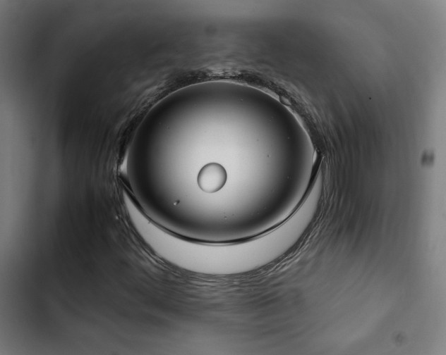 X0000103411444200809121254