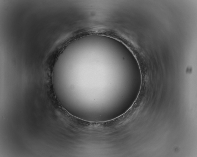 X0000103411447200809121254