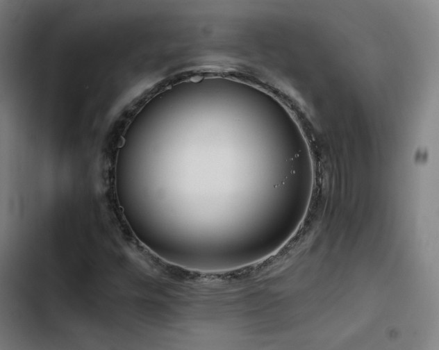 X0000103411448200809121254